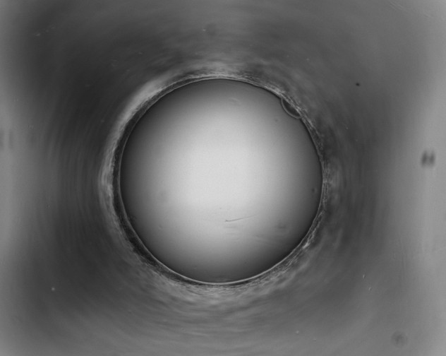 X0000103300006200808291416