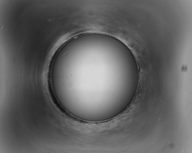 X0000103300007200808291416