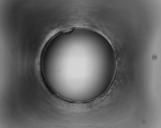 X0000103300008200808291416