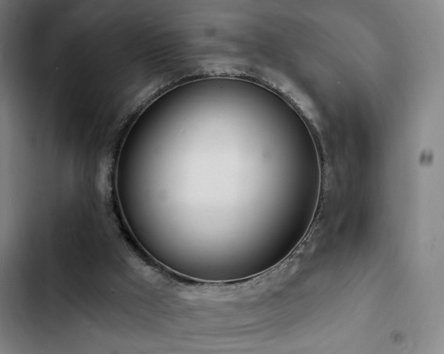 X0000103300009200808291416