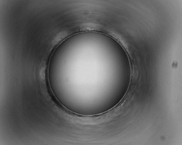 X0000103300010200808291416