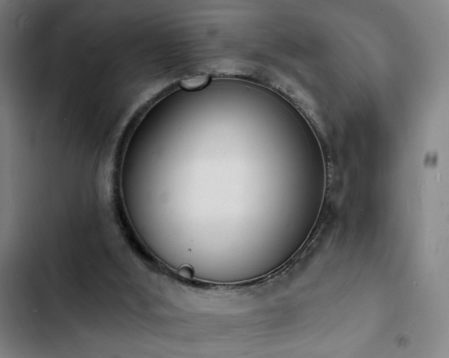 X0000103300012200808291416