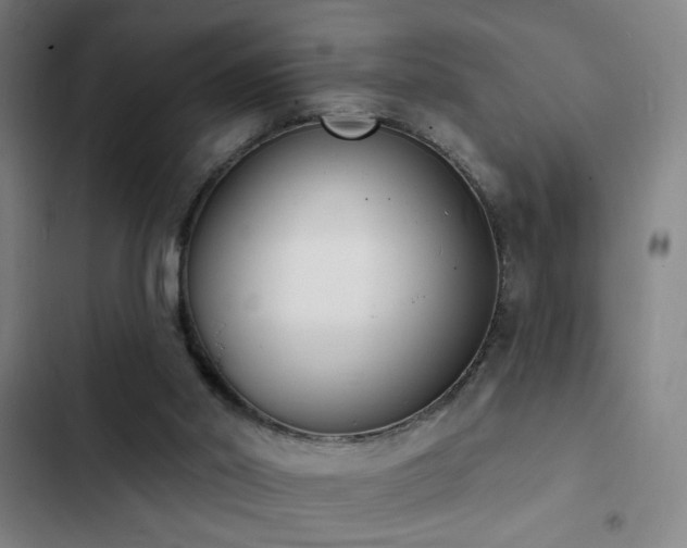 X0000103300014200808291416