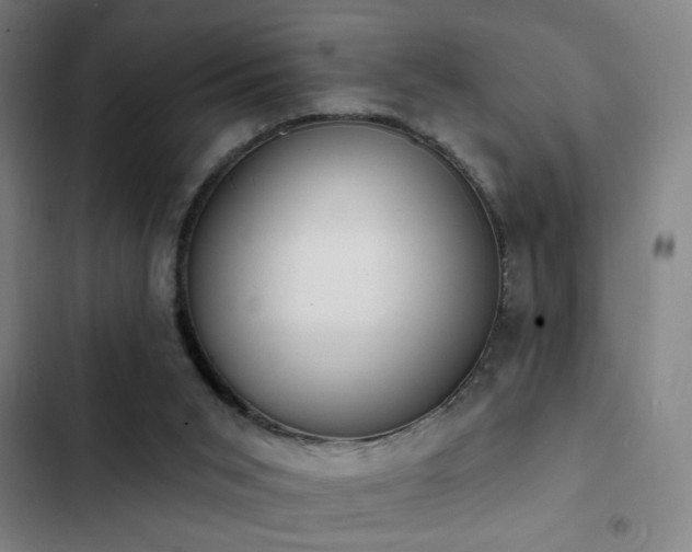 X0000103300015200808291416