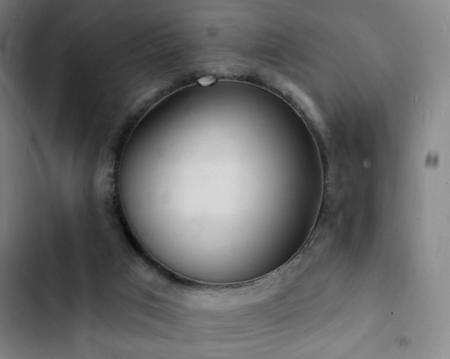 X0000103300017200808291416