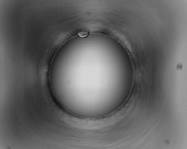 X0000103300018200808291416