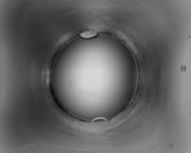 X0000103300019200808291416