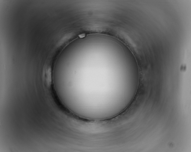 X0000103300020200808291416