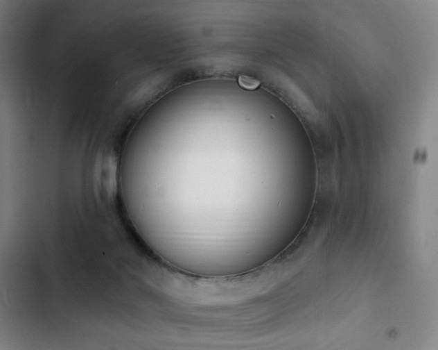 X0000103300022200808291416