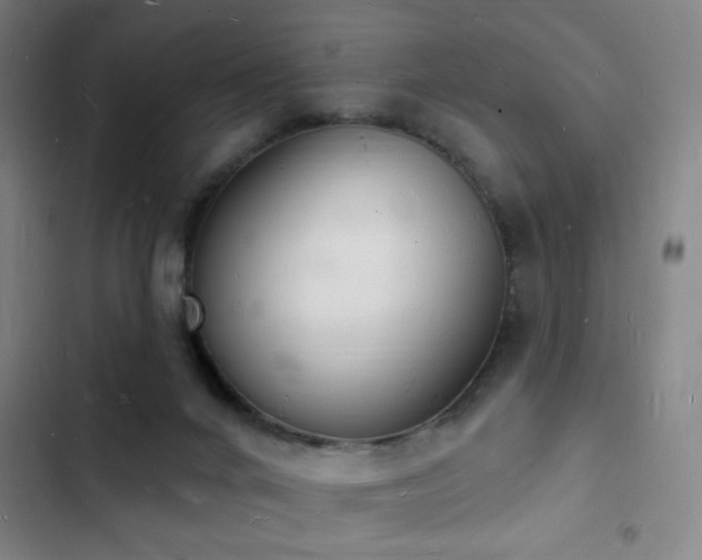 X0000103300024200808291416