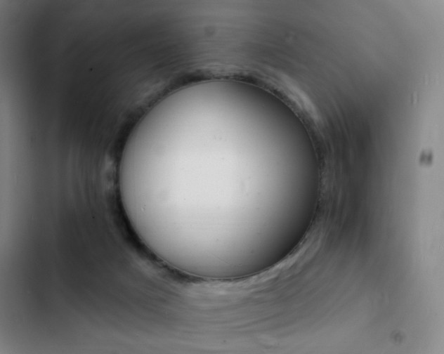 X0000103300025200808291416