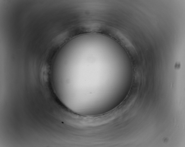 X0000103300026200808291416