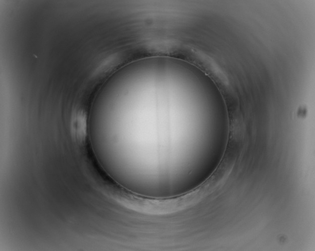 X0000103300027200808291416