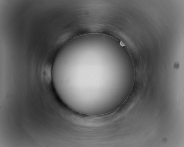 X0000103300028200808291416