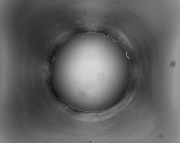 X0000103300029200808291416