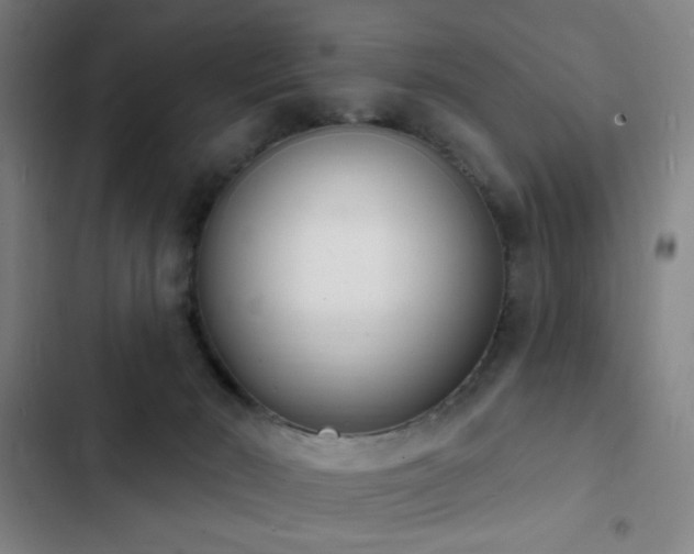 X0000103300030200808291416