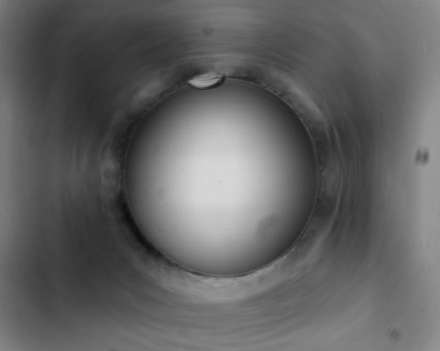 X0000103300031200808291416