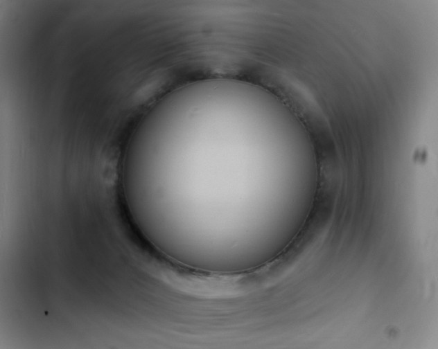 X0000103300032200808291416