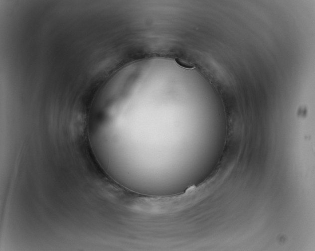 X0000103300033200808291416