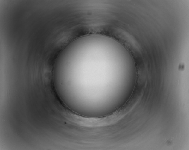 X0000103300034200808291416