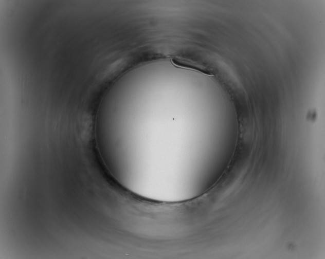 X0000103300036200808291416