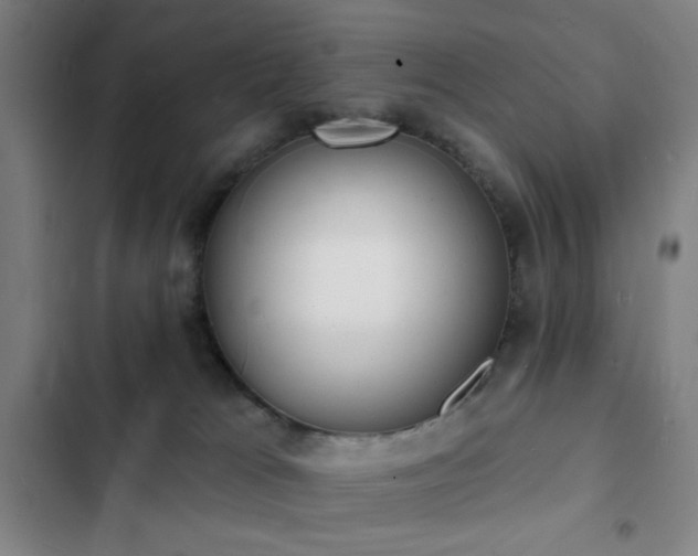 X0000103300037200808291416