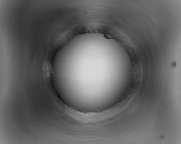 X0000103300038200808291416