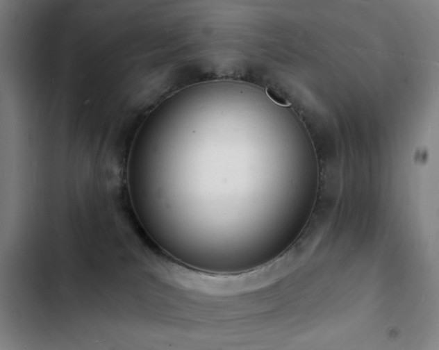 X0000103300039200808291416