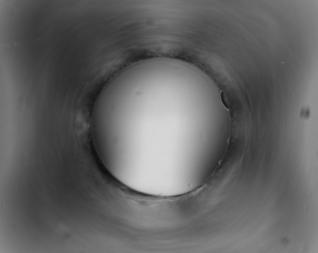 X0000103300040200808291416