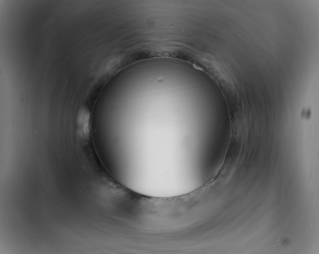 X0000103300041200808291416