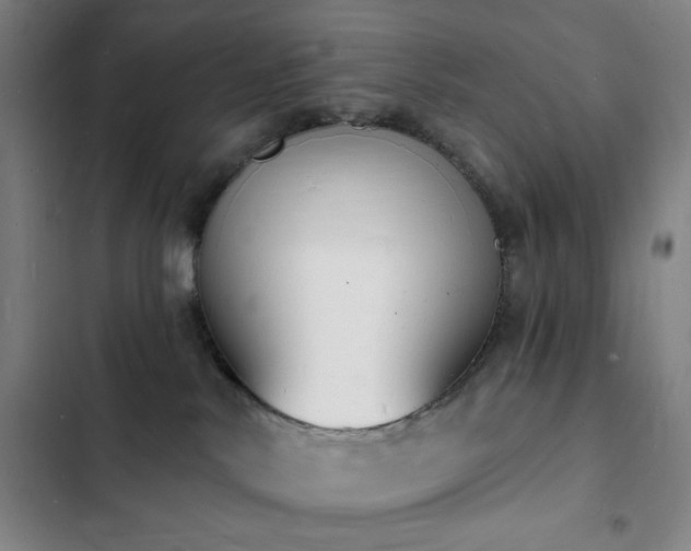 X0000103300042200808291416