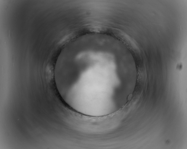 X0000103300043200808291416