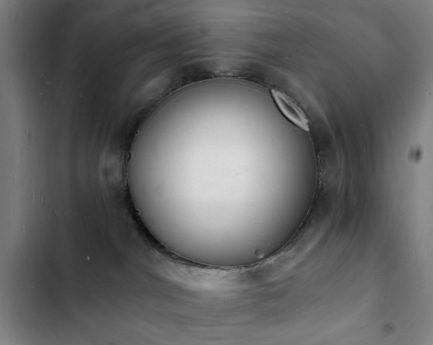 X0000103300044200808291416