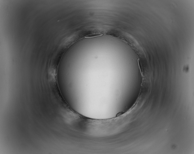 X0000103300045200808291415