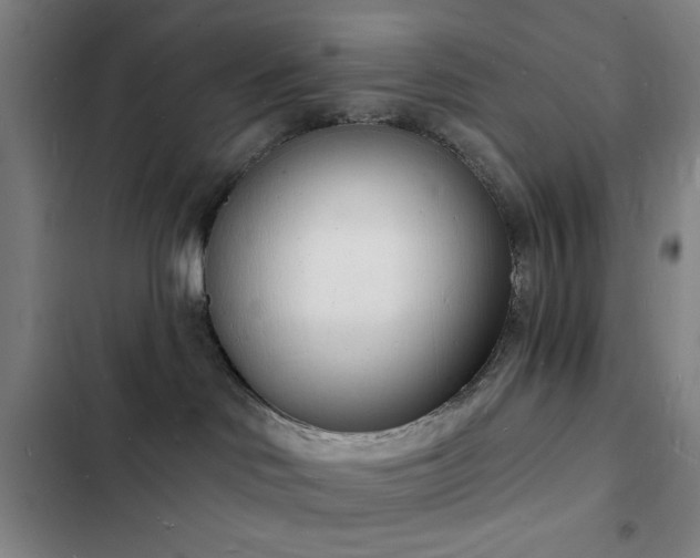 X0000103300046200808291415