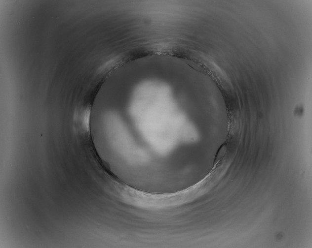 X0000103300047200808291415