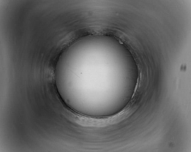 X0000103300048200808291415