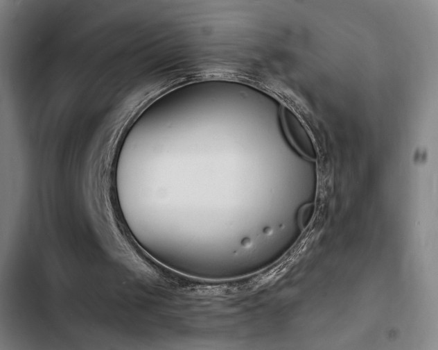 X0000103300049200808291415