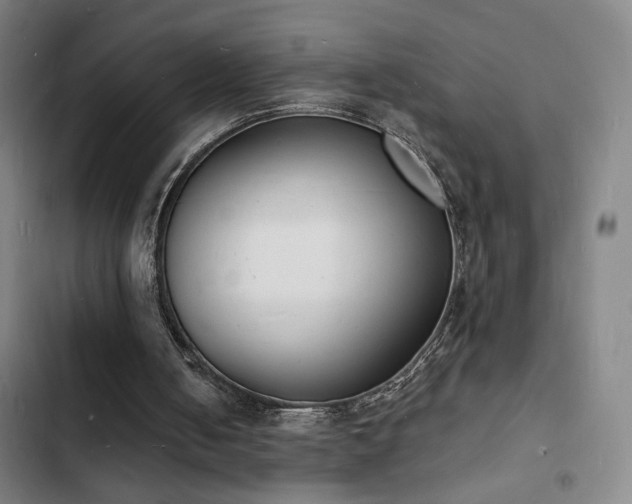 X0000103300050200808291415