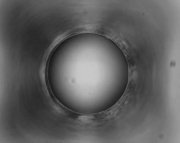 X0000103300051200808291415