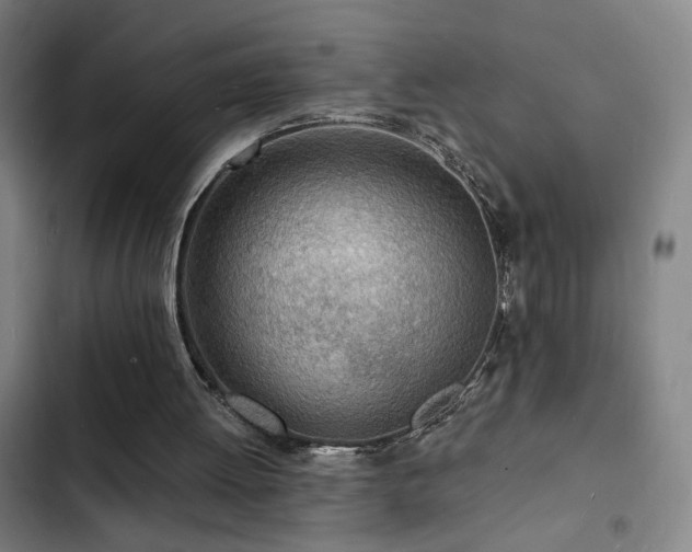 X0000103300052200808291415