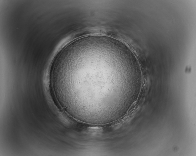 X0000103300053200808291415