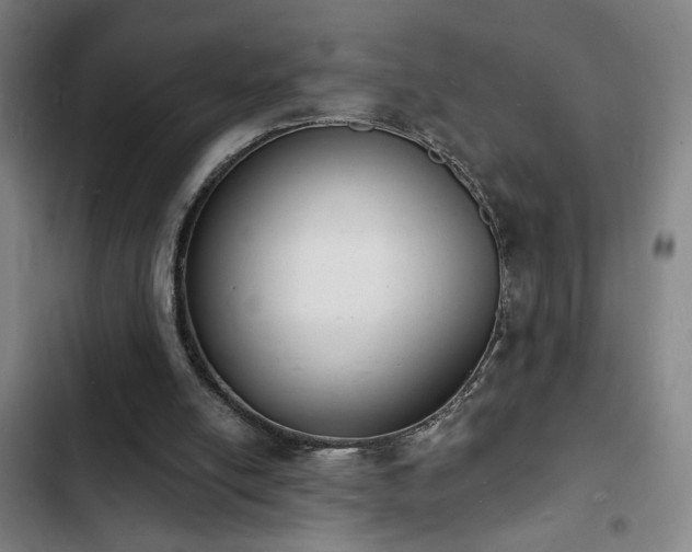 X0000103300054200808291415