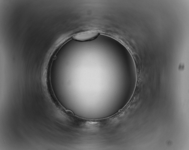 X0000103300055200808291415