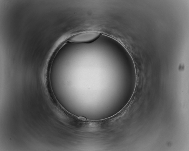 X0000103300056200808291415