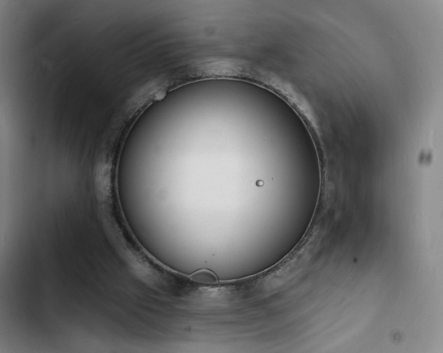 X0000103300057200808291415