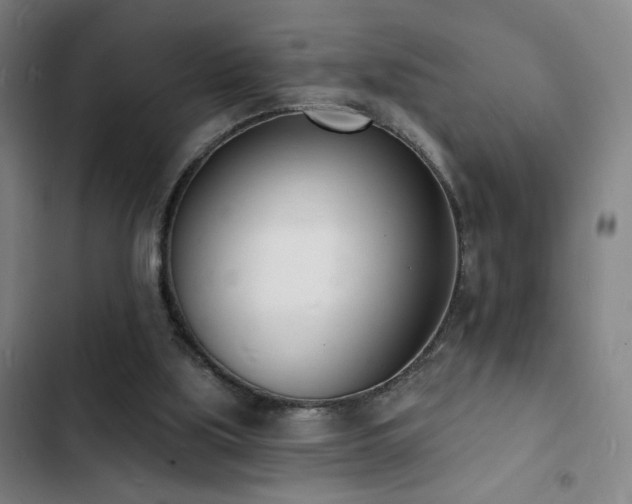 X0000103300059200808291415