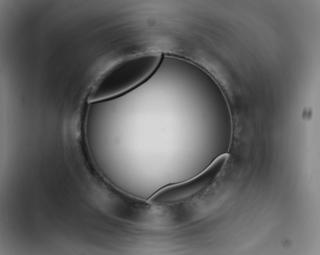 X0000103300060200808291415