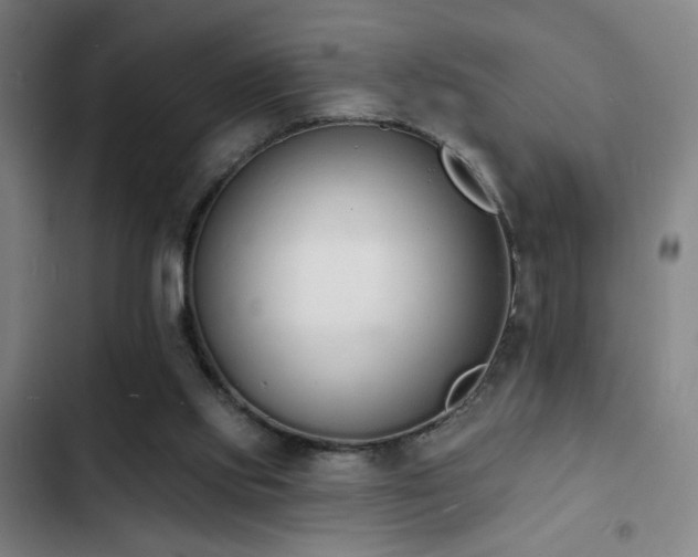 X0000103300061200808291415