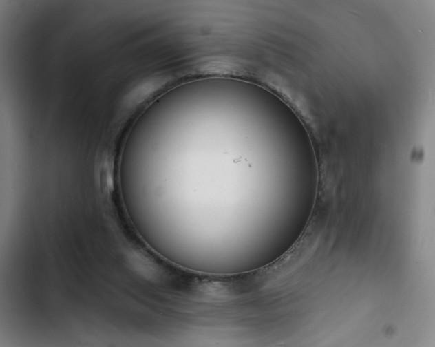 X0000103300062200808291415